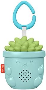 Fisher-Price Calmante de Viaje Maceta Juguete con Sonidos relajantes para Colgar en Silla de niños, Regalo para bebés Mattel GRV07