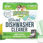 Eco-Gals Eco Scrubz Deep Dishwasher