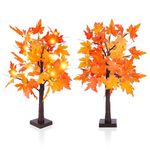 SHAVINGFUN 2 Pack Maple Leaf Tree Light,23-Inch Battery Operated Tabletop Autumn Maple Leaf Tree for Home Festival Decoration,Orange Light,Artificial Fall Lighted Maple Tree for Halloween Decor