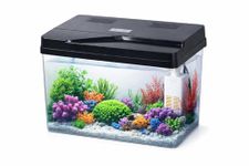 Rizopets Kids Fish Tank Starter Kit, Self-Cleaning Filter, Built-in LED Light, Decorative Accessories, Transparent, 8 L