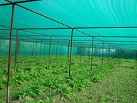 YUVAGREEN Greenhouse Shade Net 75% Shade, 100% UV Treated Green Net ((3m x 3m) - 10 Feet X 10 feet)