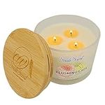 SOULS SCENT Blushing Lady Series Scented Candles for Home & Office Refreshment, Vanilla l Rosewood Infused Aromatherapy, 100% Natural Soy Wax, 3 Wick Design (12.5oz)