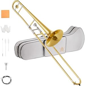 STRICH Bb Tenor Slide Trombone Student Beginner Brass Trombone Kit with 7C Mouthpiece White Gloves Cleaning Kit Hard Performance Case, STB-1G, Gold