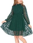 Flypigs Gresses for Kids Girls Swiss Dots Solid Pom Poms A-Line Dress with Layer Swing Midi Dress Dark Green 12-13Y