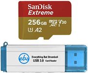 SanDisk 256GB Micro Extreme Memory 