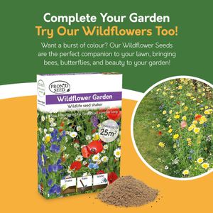 Pronto Seed Grass Seed 400g – Fast Growing Lawn Repair