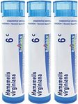 Boiron Hamamelis Virginiana 6c Homeopathic Medicine for Hemorrhoids with Bursting Sensation - Pack of 3 (240 Pellets)