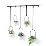 Umbra Triflora Hanging Planter for Window, Indoor Herb Garden, Set of 5, White/Black