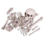 Kangaroo Box Of Bones; 30 Pc Set With Skull, Flexible Jaw, Skeleton Bones