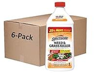 Spectracide Weed And Grass Killer C