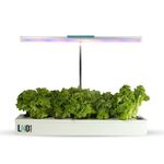 Lights For Indoor Hydroponic