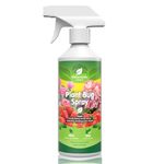 Organic Bug Sprays