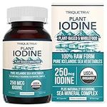 Organic Iodine Supplement from Sea 