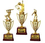 TMW Cricket Lover Special Trophies Set of 3 Best Team, Best Batsman, Best Bowler Award, Trophy