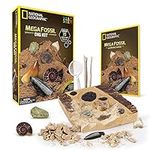 NATIONAL GEOGRAPHIC Dino & Fossil Dig Kits – Excavate Real Fossils Including Dinosaur Bones & Mosasaur Teeth - Great Jurassic Science Gift for Paleontology and Archeology Enthusiasts of Any Age