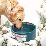 PETLESO Heated Water Bowl for Dog, 