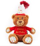 Pet London Happy Birthday Bear Dog Toy - Present to Celebrate Dog's Bday or Adoption - Soft Plush Teddy Gift for Dog or Pup with Embroidered Birthday Message, Squeaky, Stylish Great Animal Gift