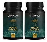 Ambrosial Maca Root Capsules for Women & Men - High Strength 500 Maca mg per Capsule, Supports Stamina & Energy - Natural Maca Root High Strength (Pack of 2-120 Capsules)