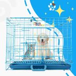 Petzlifeworld 2 Feet Dog | Puppy | Rabbit | Cat Cage with Easy Cleaning Removable Tray (Blue)