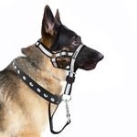 Dog Head Collar No Pull Gentle of Leader for Dogs, Adjustable Dog Head Halter Reflective Anti-Pull Muzzle Leash Dog Nose Strap for Halti Easy to Control When Walking (Size L)