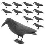 KCT 12 Pack of Crow Decoy Full Bodied Realistic Hunting Prop and Bird Scarer Decoy Crow