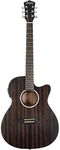 Washburn Deep Forest ACE, Ebony, (D