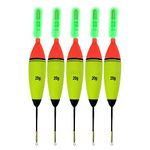 5 Pcs 20g EVA Foam Fishing Floats + 10 Pcs Glow Sticks Long Vertical Luminous Night Fishing Floats For Carp Bass