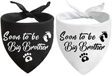 Soon to Be Big Brother Dog Bandanas