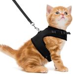 PUPTECK Soft Mesh Cat Vest Harness and Leash Set Puppy Padded Pet Harnesses Escape Proof for Cats Small Dogs Rabbits Bunny, Black Medium