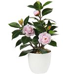 Oairse Artificial Plant Camellia 28cm Fake Plants in Pots Faux Camellia Plants Potted with Pink Fake Flower Small Bonsai Tree for Home Bedroom Office Desk Kitchen Decoration