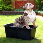 Dog Cat Pet Washing Bathtub With Drain Valve Multi Purpose Bath Tub S M L XL 40L 60L 80L 90L (60 Litres - Medium)