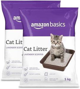 Amazon Bas