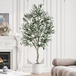 YOLEO 6FT Artificial Olive Tree, Faux Olive Silk Tree Indoor, Lifelike Fake Plant for Living Room Bedroom Balcony Corner Office Decor (Style 5)