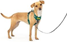PetSafe Easy Walk Comfort No-Pull D