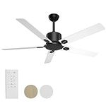 BECLOG Outdoor Ceiling Fan, Ceiling