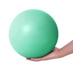 Fresion 25cm Soft Pilates Ball/Small Exercise Ball - Mini Yoga Ball, Core Ball, Barre Ball, Small Workout Ball,Gym Ball for Physical Therapy, Balance, Stability, Stretching