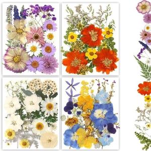 Buzidao Dried Pressed Flowers, 80Pcs Real Natural Pressed Flowers Bulk for Resin Nail Art Scrapbooking Candle Jewelry Making DIY Crafts Real Dried Pressed Flowers Resin Supplies Kit (Multi Color-2)