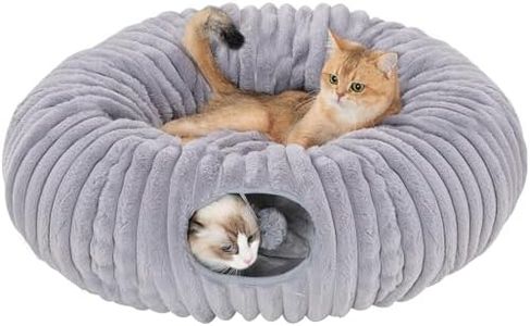 Avont Cat 