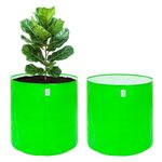Anandi Green's HDPE 24x24 Inch Extra Large Grow Bag 260 GSM Round for Big Fruit Trees – Lemon, Guava, Papaya, Pomegranate, Banana | Tree Planter Pot for Terrace & Garden