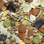 Bamfords Gastro Guinea Pig Food With Added Soya 15kg