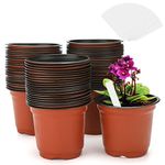 KINGLAKE 50Pcs 10CM Plant Pots Plastic Flower Pots Seedlings Seed Pots and 100 Pcs White Plastic Plant Labels