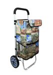 EB EVER BEST-Series Of Bags Jumbo Shopping Trolley Bag With Wheels | 2 Year Warranty | Grocery, Fruits, Vegetables, Laundry | 50 Litre Capacity (Jumbo Monument)