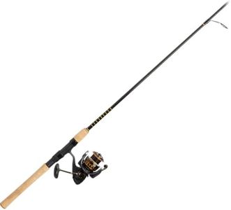 Daiwa BG3000/701M BG Saltwater Pre-Mounted Combo, 3000, 5.6: 1 Gear Ratio, 6+1 Bearing, 1Piece, Spinning, Black