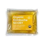 Organic SCOBY Kombucha Starter Kit 