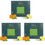 TGL Co. Lemon Detox Green 16 Tea Bags Pack of 3 |Suits in Digestion | Relieves Constipation |Anti Inflammatory Properties | Keeps Hydrated |Good for Skin