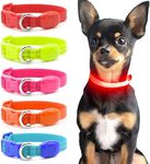 Domagiker Light Up Dog Collars - Reflective LED Dog Collar Rechargeable, Bright Safety Glow Collar for Small Dogs& Cats, Flashing Lighted Dog Collar Lights for Night Walking (XS, Red)