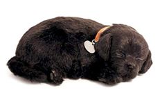 Perfect Petzzz Sleeping and Breathing Black Labrador Retriever Puppy New soft Version