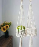 Zippy Flora Cotton Plant Hanger for Balcony, Off-White, 36-38 Inch ,Single Piece