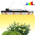 Cooling Grow Lights