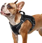 rabbitgoo Dog Harness Small Sized N